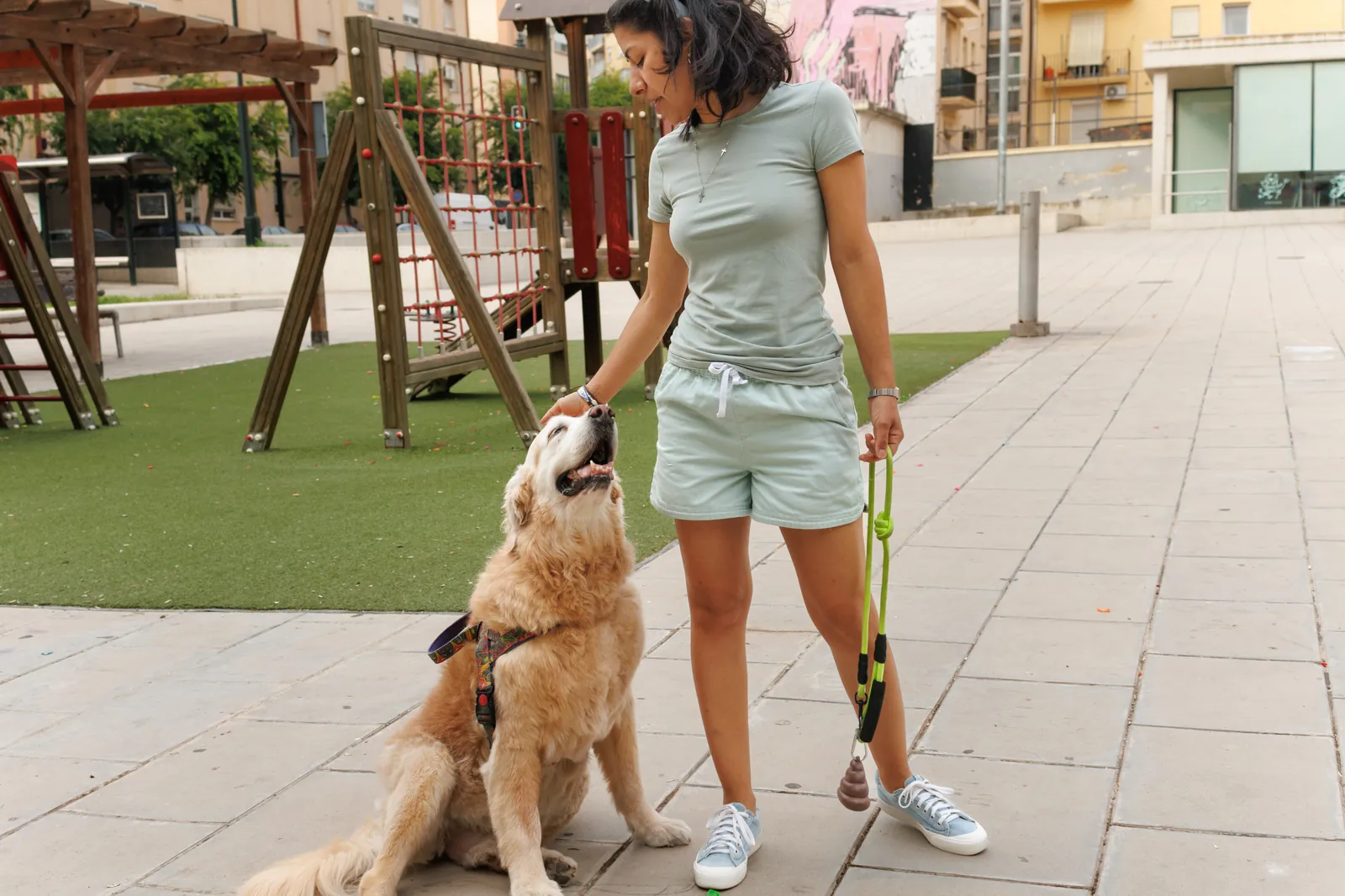 A golden retriever walked on a leash beside a busy children's park, the crowd neutrality rodeo season asks for