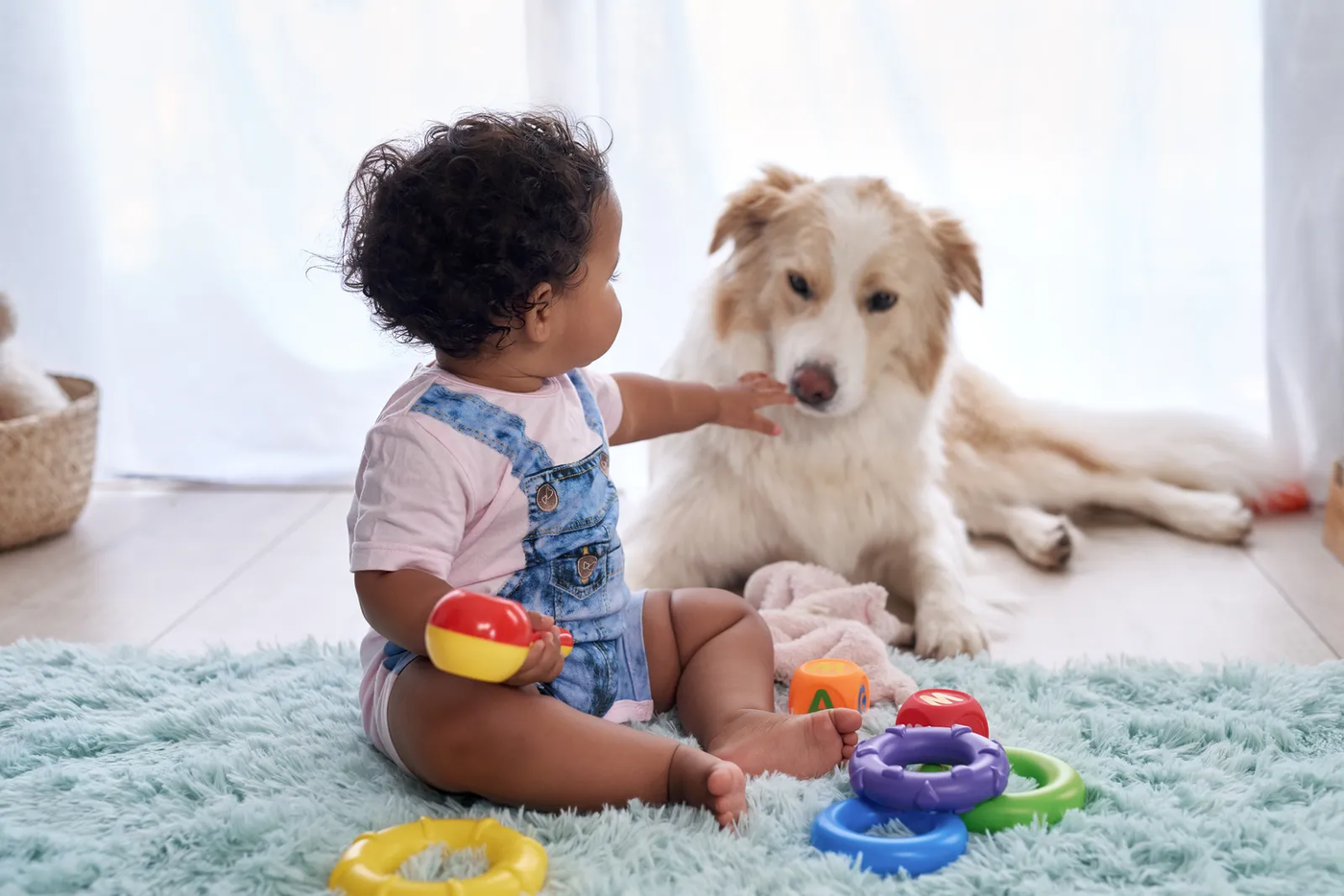 A baby and a family dog together at home, the calm household a pre-baby stay is meant to produce