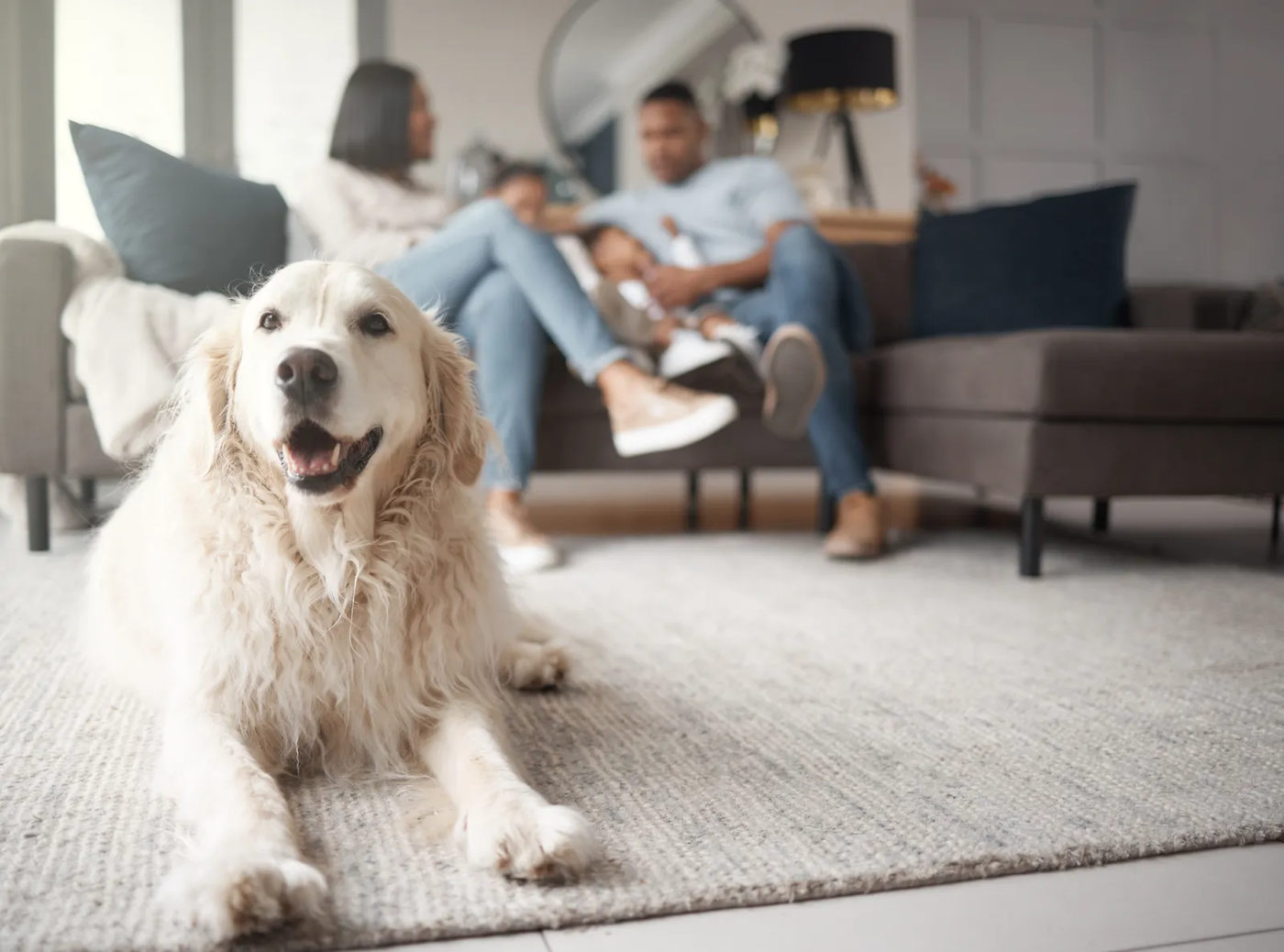 A family of three relaxing on a sofa at home with their dog beside them