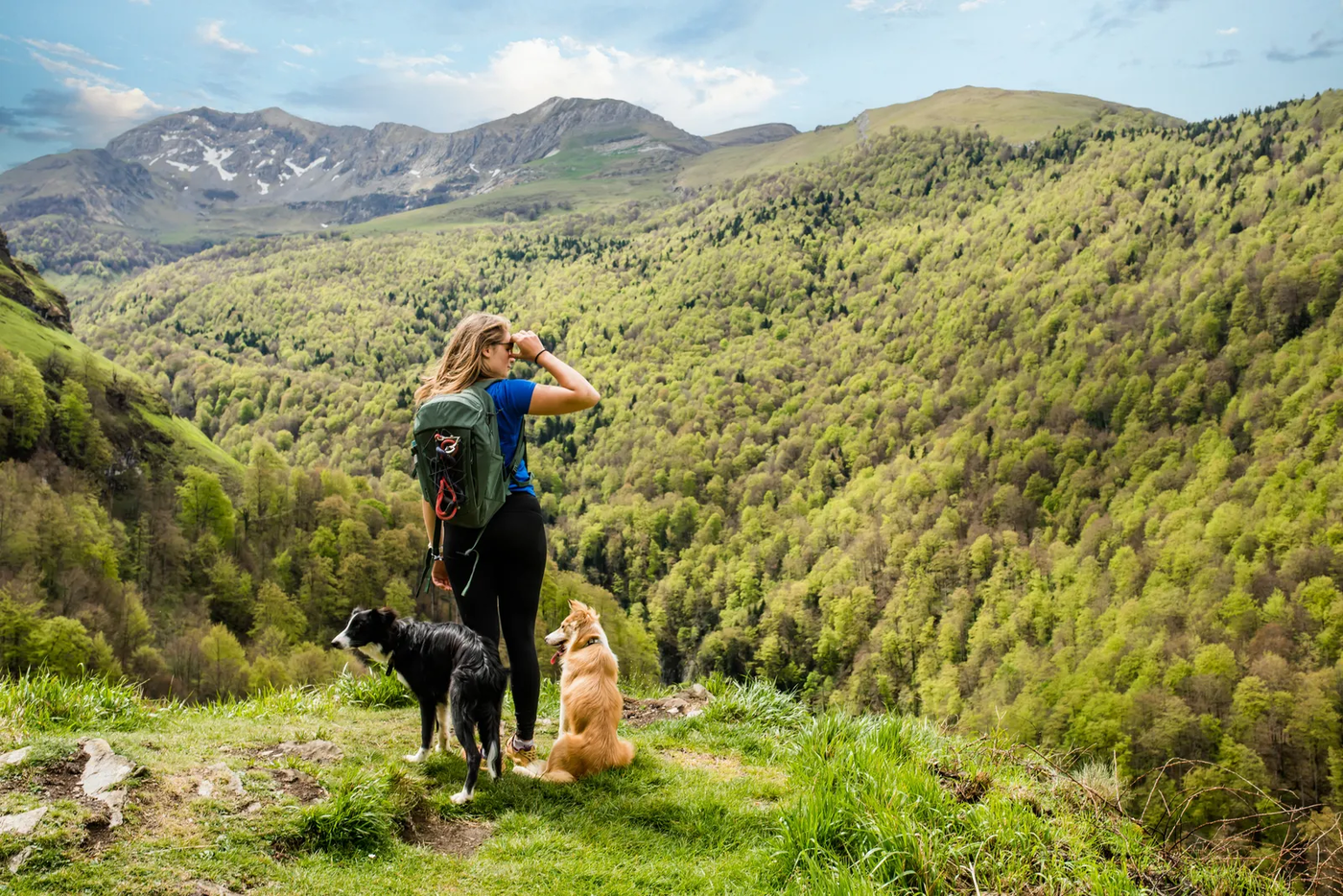 A young woman taking a break with her dog during a hike near a lake, the forest-trail life Woodlands dogs are trained for