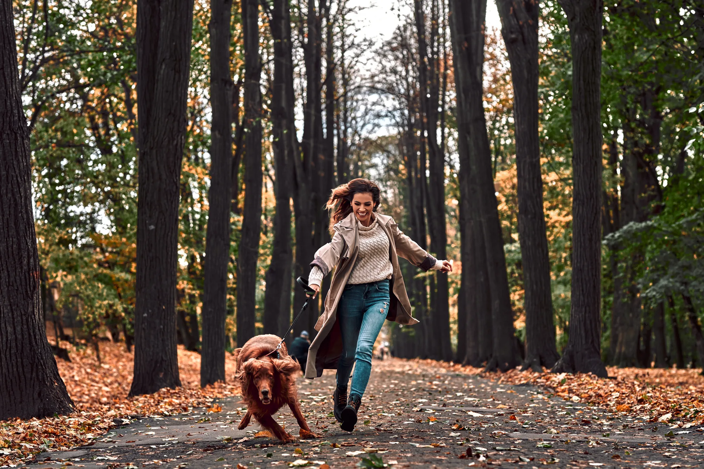 A dog pulling hard ahead of its jogging owner on a park path