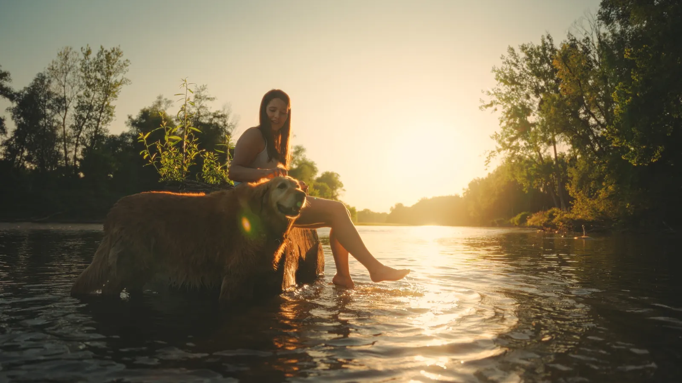 A woman sitting on a riverside rock beside a golden retriever in shallow water