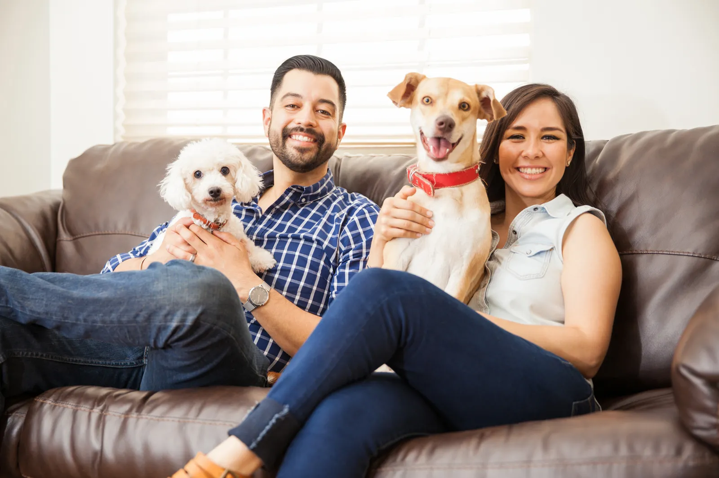A young couple sitting at home with their two dogs, the household an in-home lesson works with rather than around