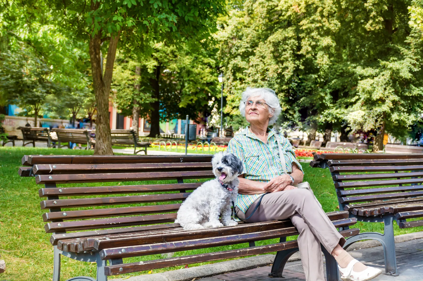 A senior woman and her dog together in a city park