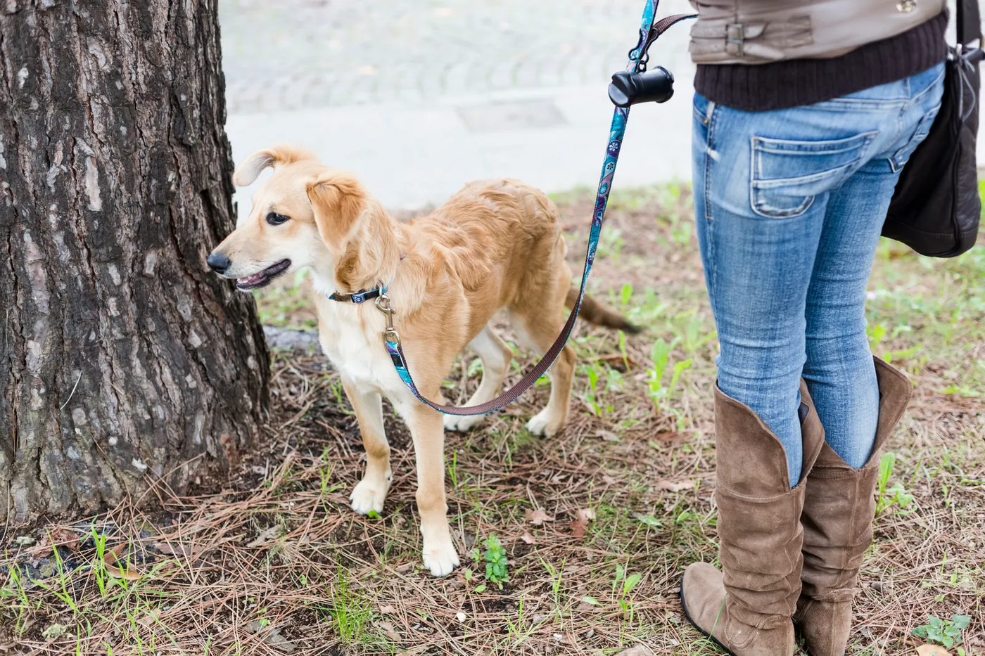 A young woman standing outdoors with her dog on a leash