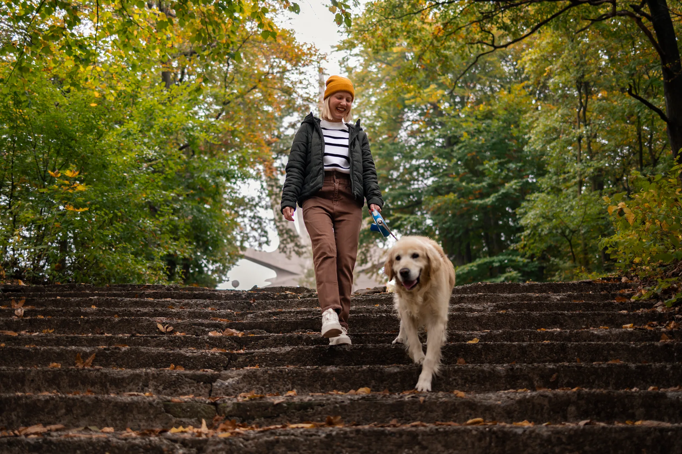 A woman walking a golden retriever down park steps on a loose leash, the everyday Bellaire walk
