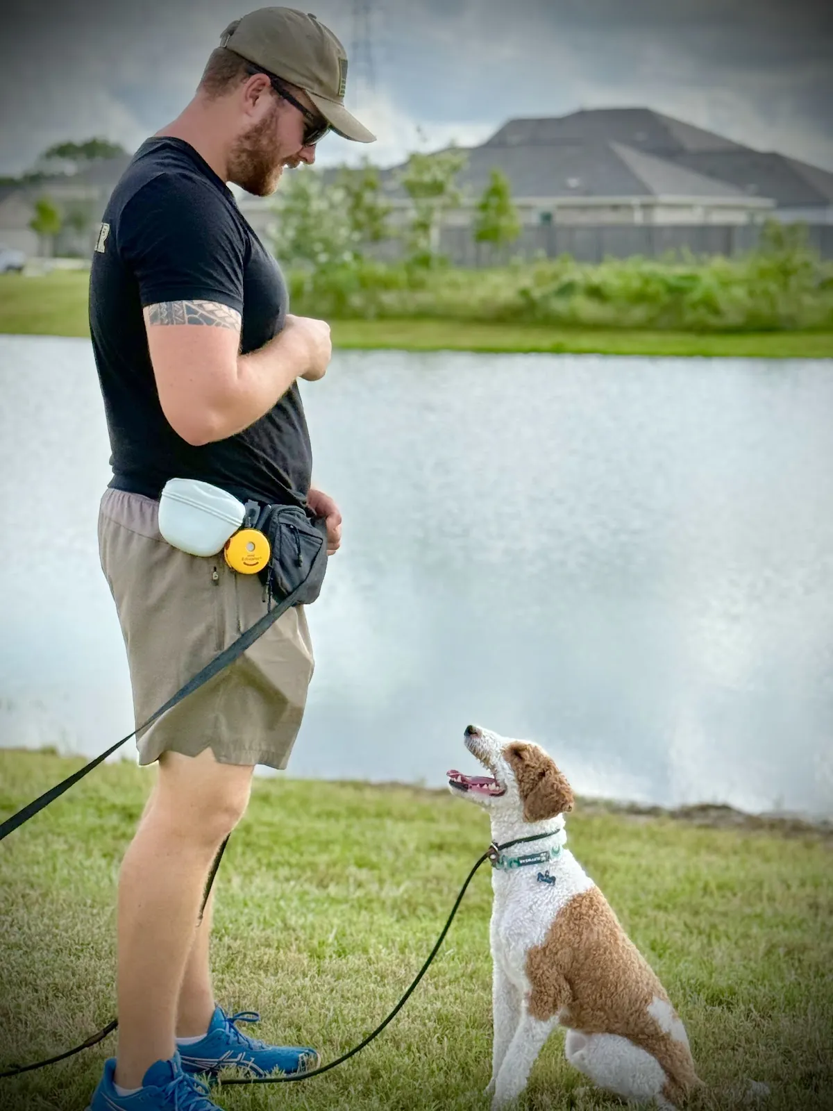 A trainer working a white-and-red parti poodle on a leash beside a neighborhood lake