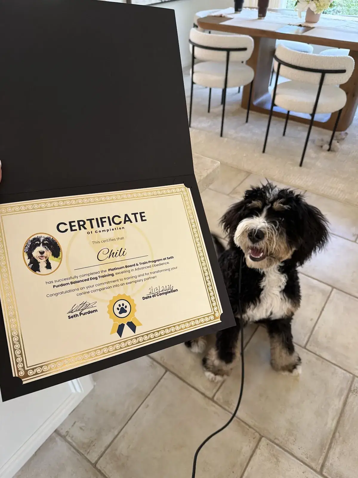 A board and train graduate sitting beside the Best Dog University certificate at the end of the program