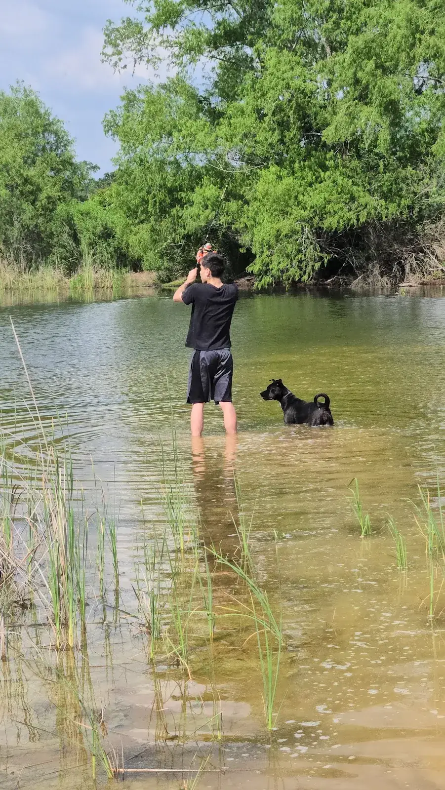 A trainer standing in a lake with a dog on a long line, the distance work that off-leash reliability is built from