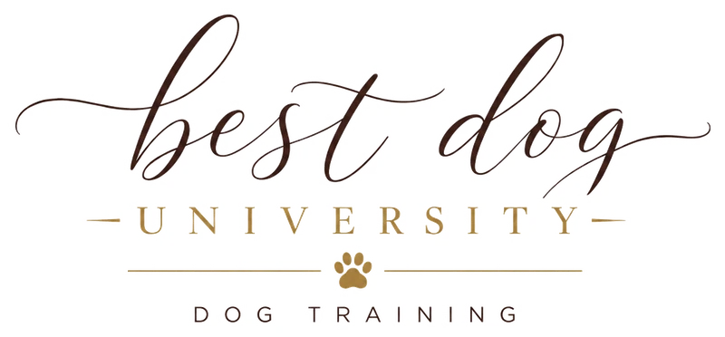 Best Dog University dog training